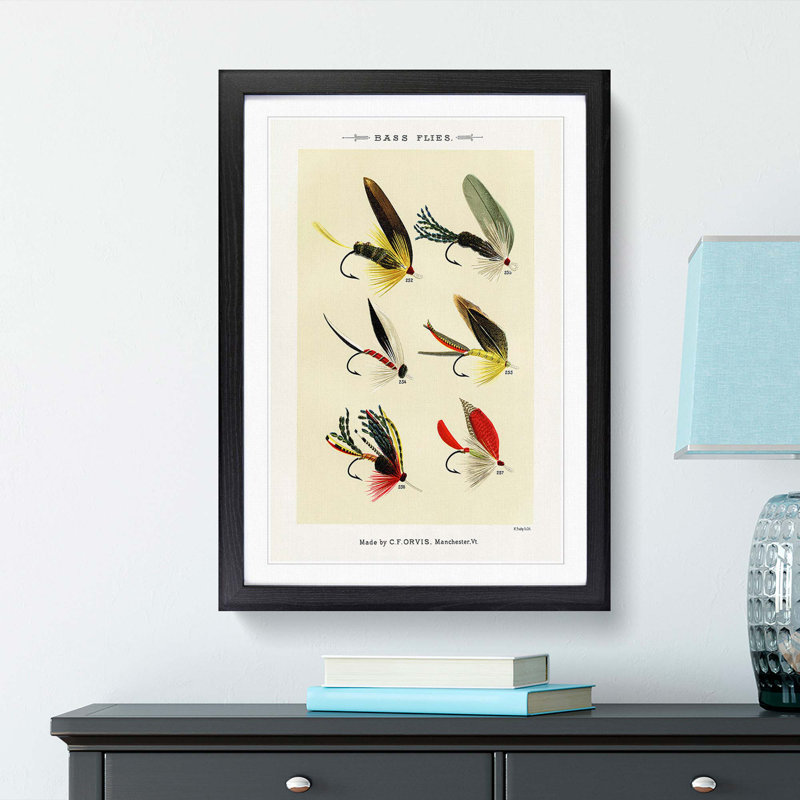 Bass Fishing Flies Versions 5 by Mary Orvis Marbury - Picture Frame Painting Print, 36cm H x 27cm W x 2cm D, Black Framed