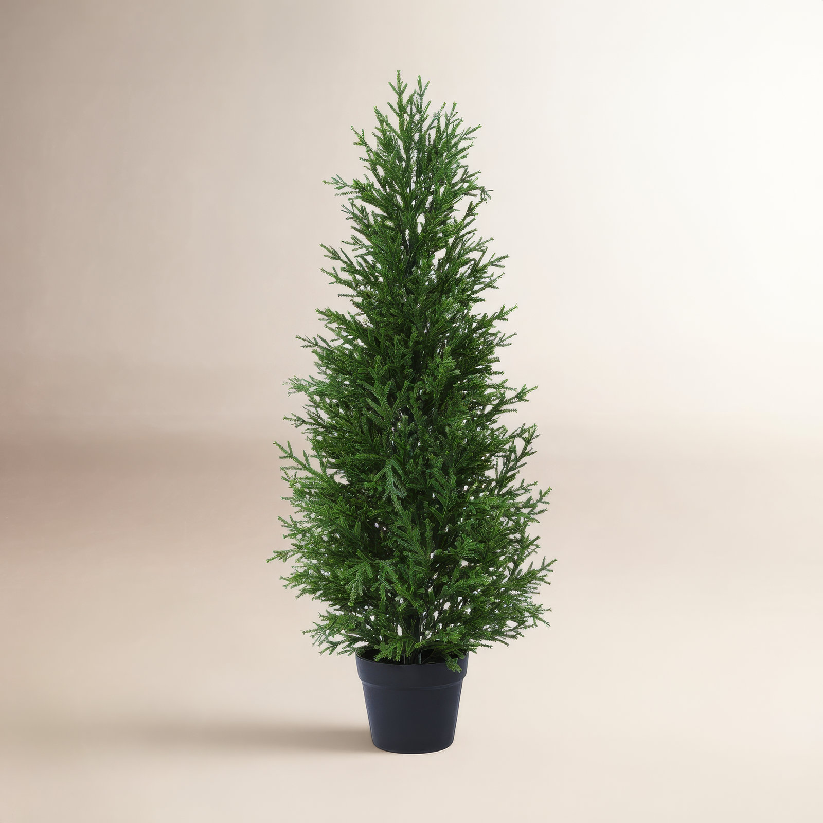 Adcock 60" Cedar Topiary in Pot, 36" H x 12" W x 12" D