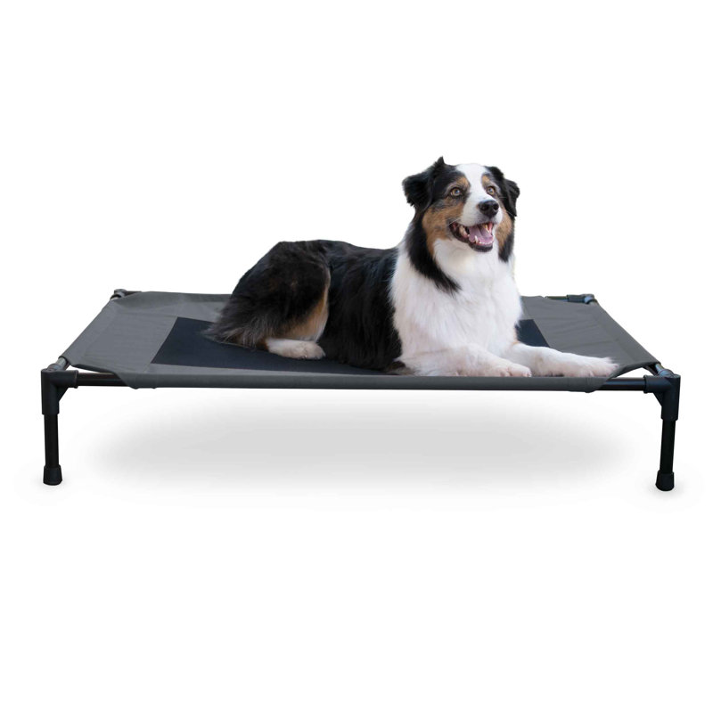 Polyester Pet Bed, Charcoal/Black, Large (42" W x 30" D x 7" H)