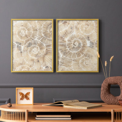 «Fossil Nautilus I», reproduction encadrée de qualité supérieure - prête à être accrochée - aucun clou requis - aucun clou requis