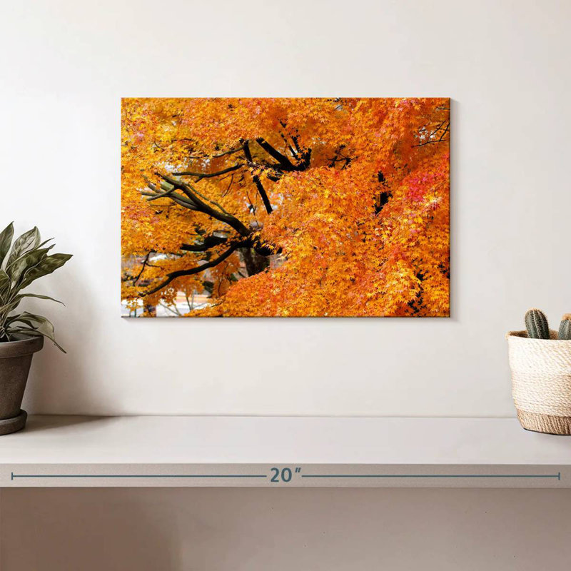 Harnek Maple Trees In Autumn, 8" H x 12" W