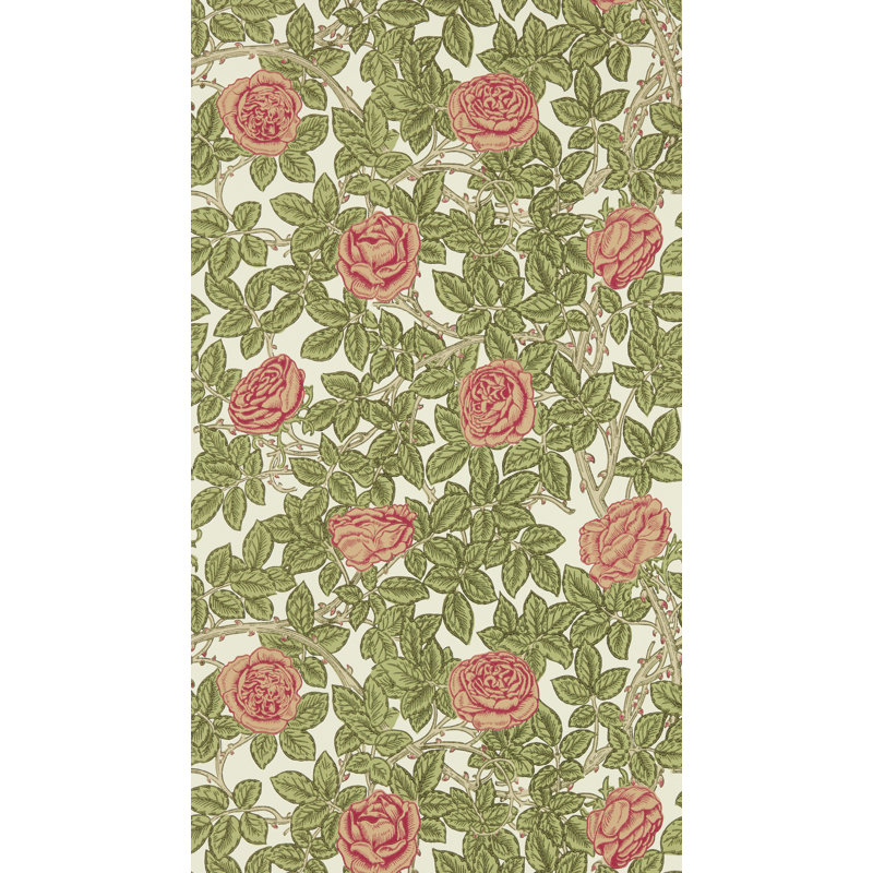 Rambling Rose Wallpaper, Twining Vine