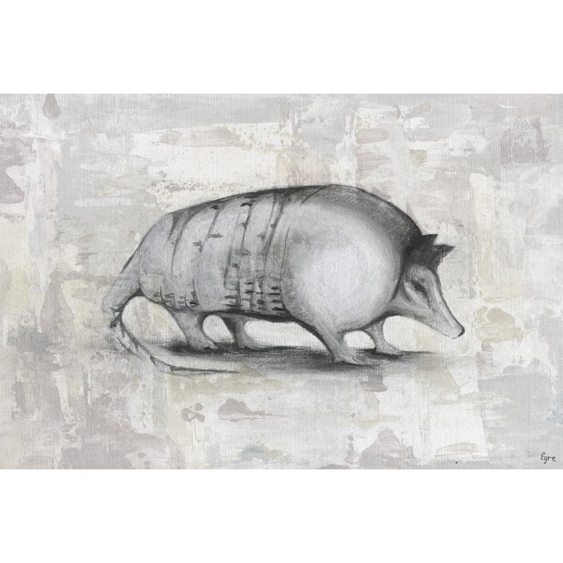 « armadillo ii », reproduction d’art sur toile tendue, H 16 po x l 24 po x P 1,5 po