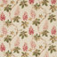 Coral/Bayleaf