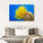 Brampt Yellow Feather Starfish-107847534