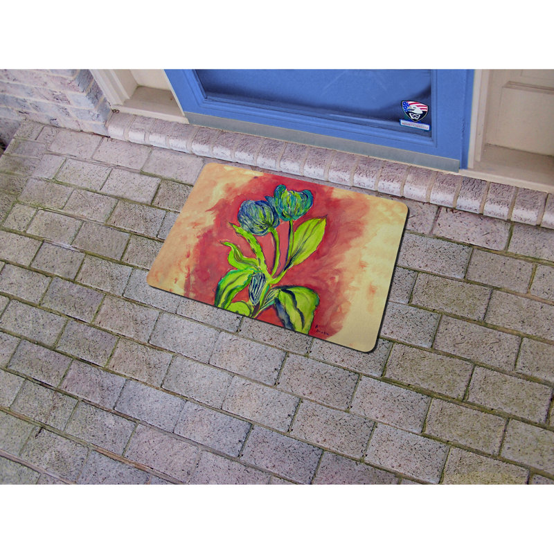 Tapis d'extérieur / intérieur antidérapant Taylor, Rectangle 1 pi 6 po x 2 pi 2 po