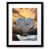Black Framed Paper is unavailable