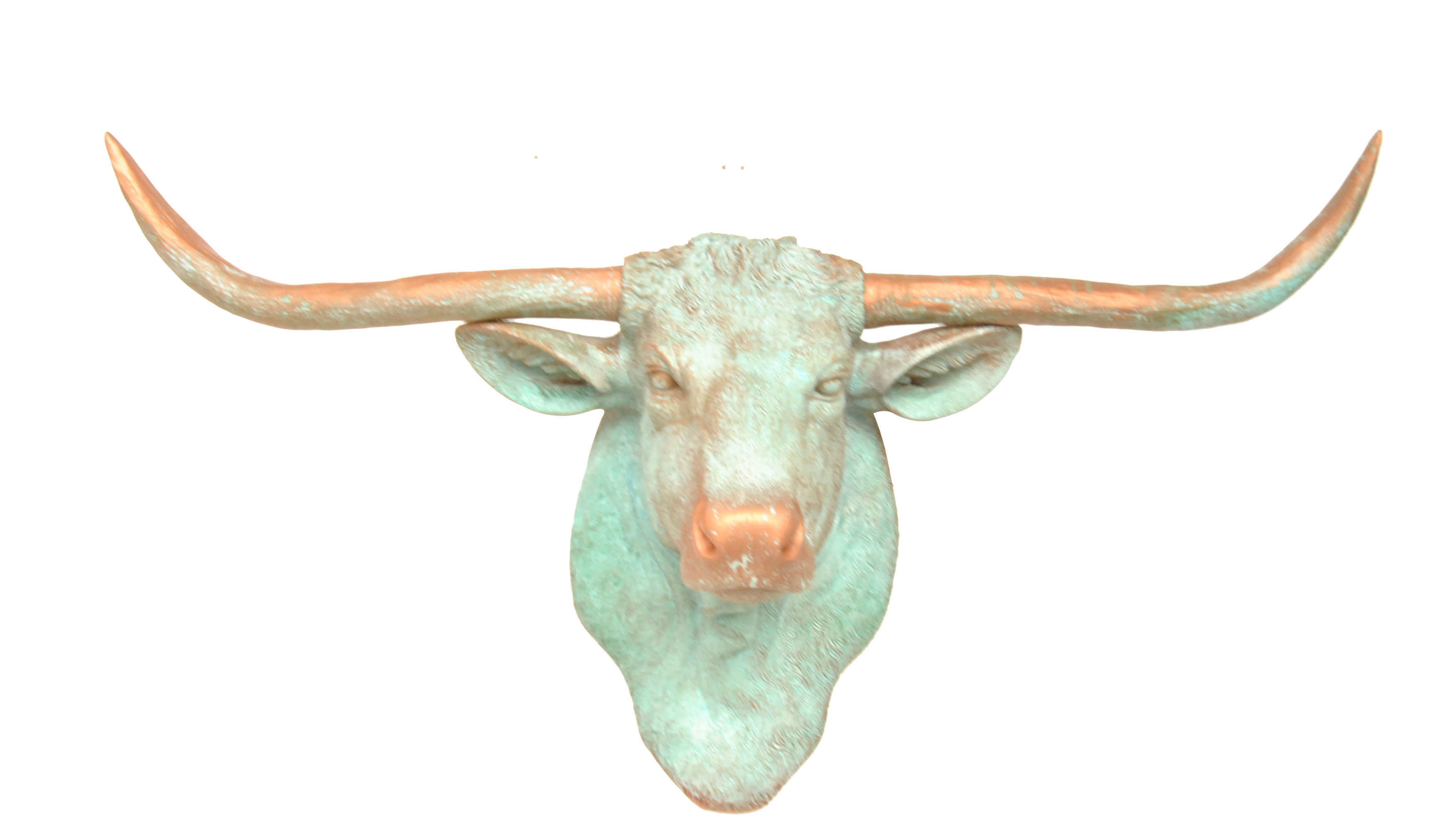 Union Rustic Texas Longhorn Head Wall Décor & Reviews | Wayfair