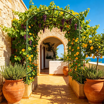 Paquet de 2: treillis concombre et luffa en métal robuste, arche de jardin en U pour lit surélevé, largeur réglable de 40 à 60 po, structure en acier enduit de polyuréthane antirouille, support pour plantes grimpantes grimpantes pour plantes grimpantes, H 80 po x P 71 po