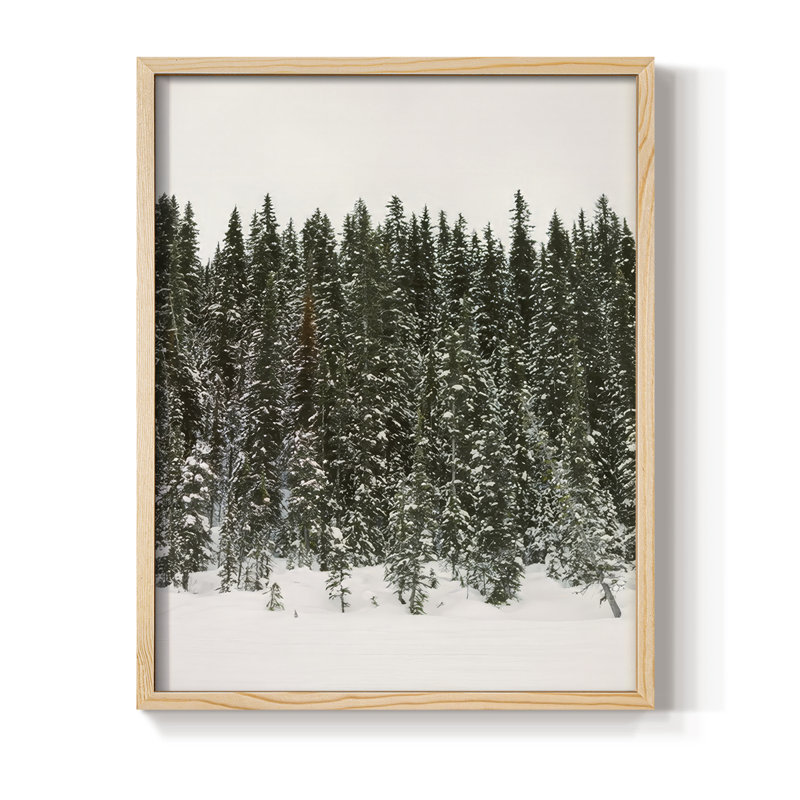 «Christmas Tree Forest», reproduction encadrée - bois massif, Naturel, H 11 po x l 9 po