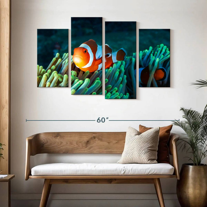 Brampt Frowning Clownfish, 32'' H x 52'' W