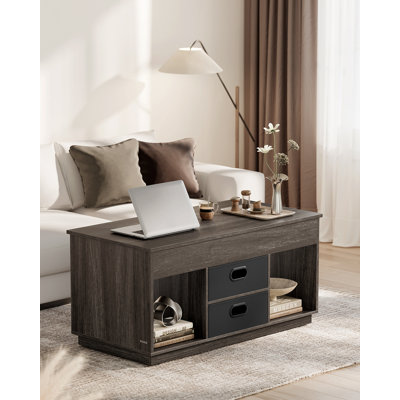 Ronit Lift Top Coffee Table with Storage