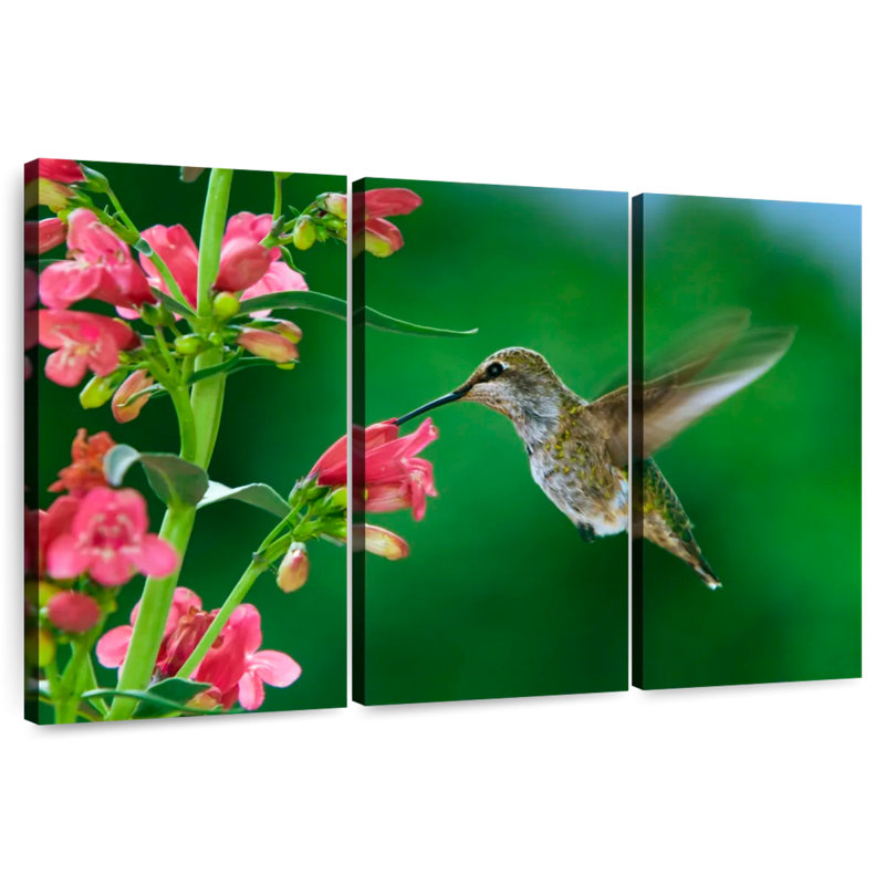 Brampt Spring Hummingbird, 20" H x 33" W