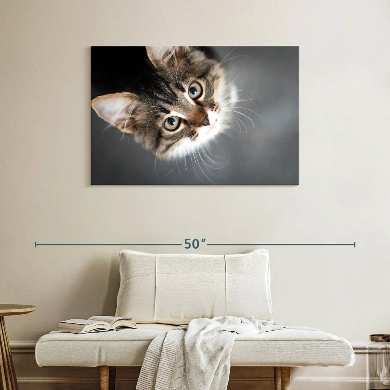 A Cat, 26" H x 39" W