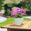 Pot Planter