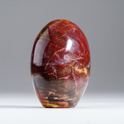 Polished Petrified Wood Freeform from Madagascar (1.1 Lbs)
