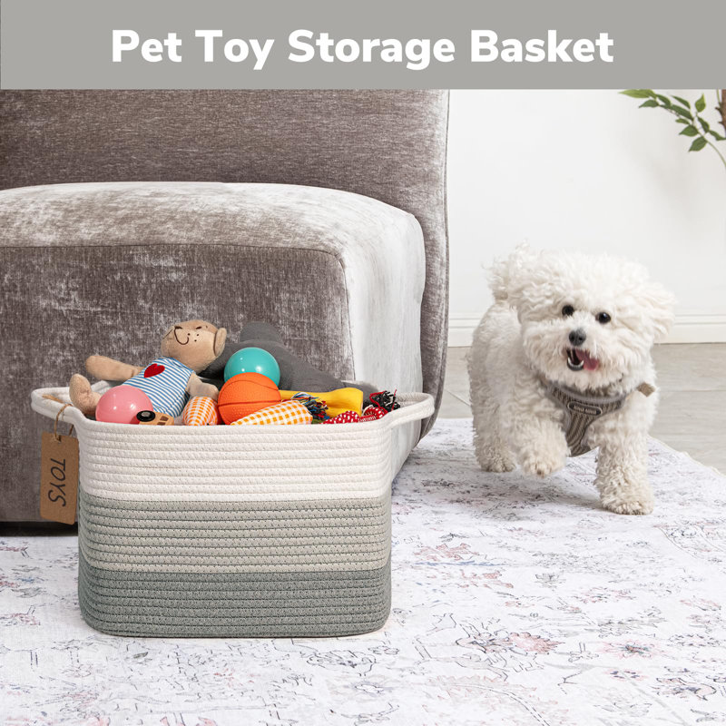 Beachcrest Home Maleah Cotton Decorative Basket, White Grey
