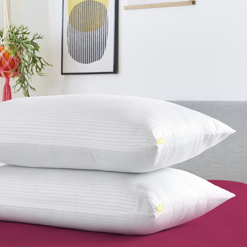 Snug Blissful Bedtime Pillow Pair