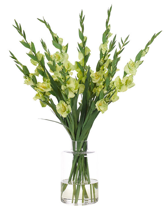 Gladiola, Green, Glass Vase, 26wx25dx39h