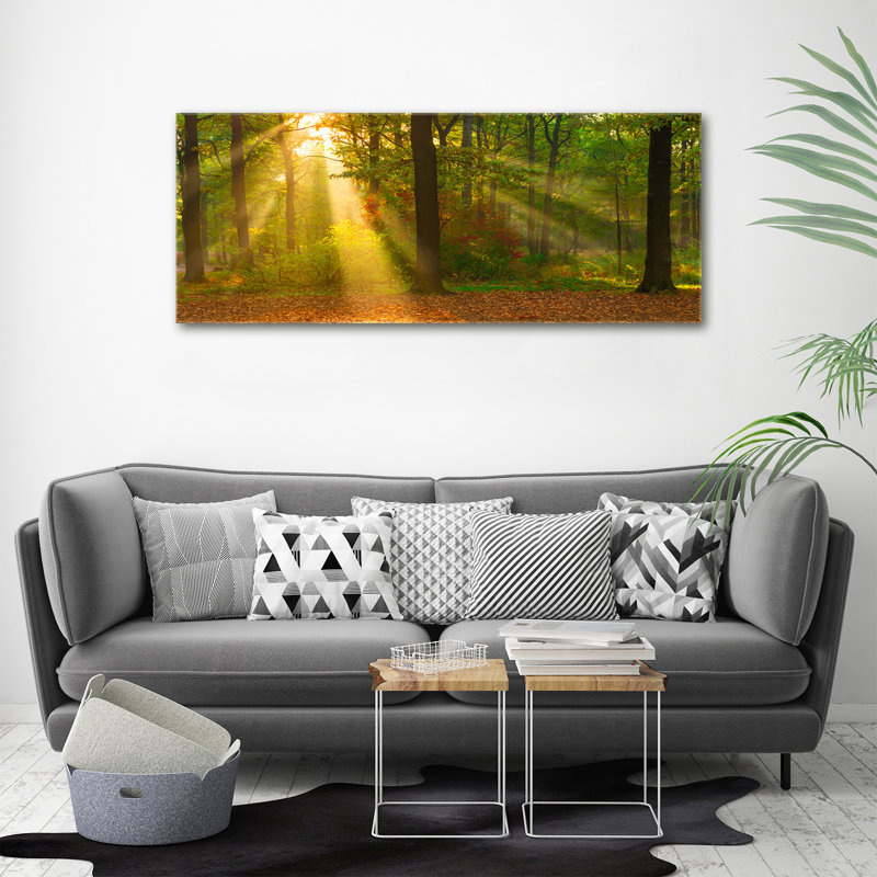 Forest In The Sun - No Frame Print on Canvas