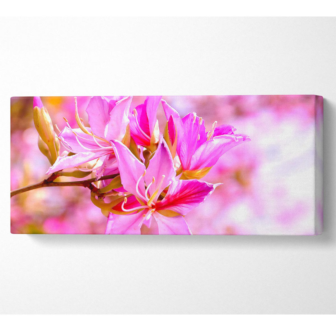 Atemberaubende Deep Pink Flowers Panoramaleinwand