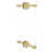 Satin Brass