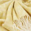 Raimer Throw Blanket