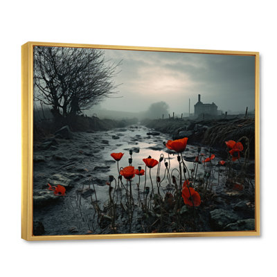 Ireland Irish Mist - Landscapes Canvas Prints