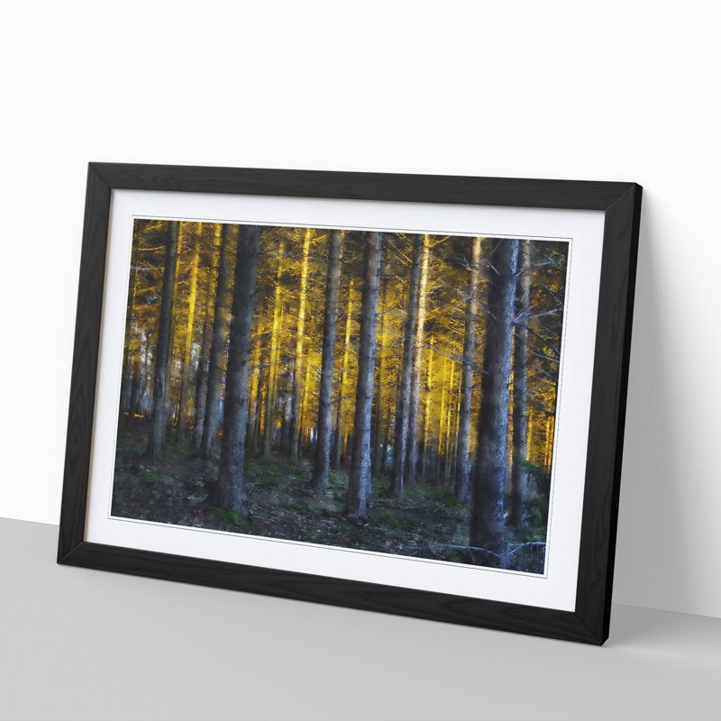 Sunlight Forest Vol.4 - Picture Frame Painting, Black Framed, 48cm H x 65cm W x 2cm D