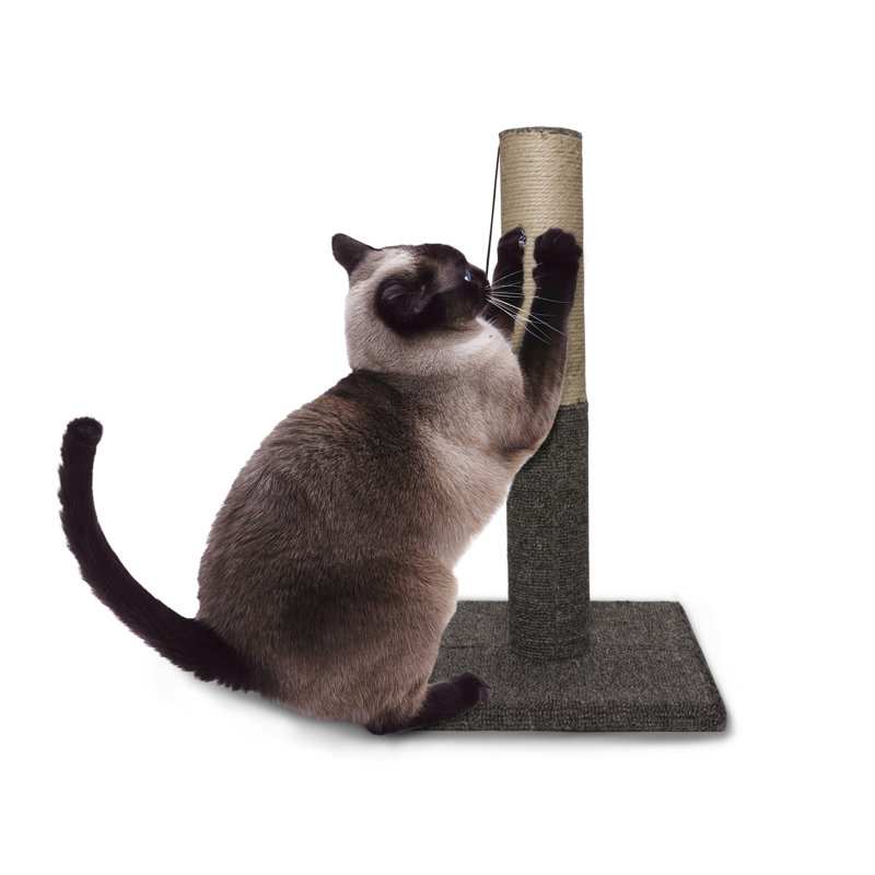 Meuble grattoir pour chat Tiger Tough, Gray