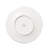 Lastra Holiday European Dinner Plate