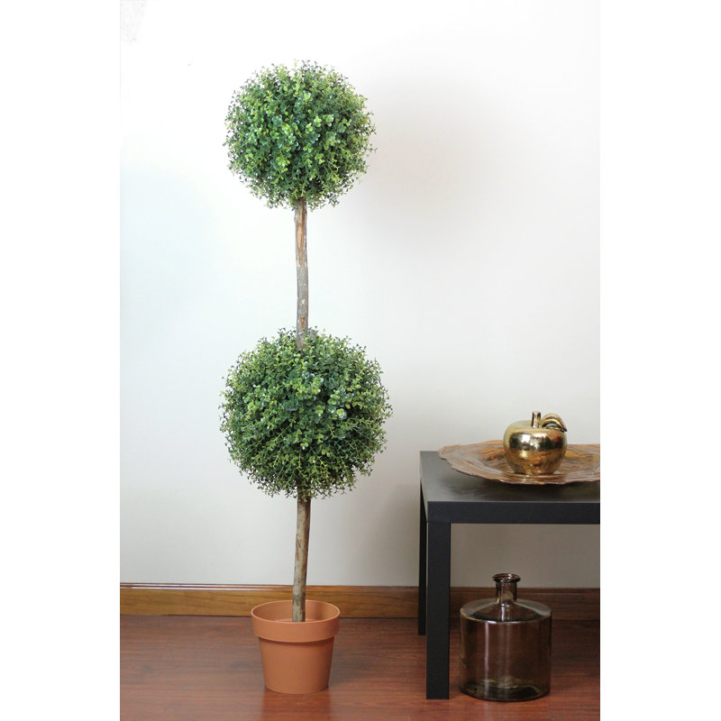 Arbre topiaire 4,5 'bicolore en pot buis 4,5' - non éclairé
