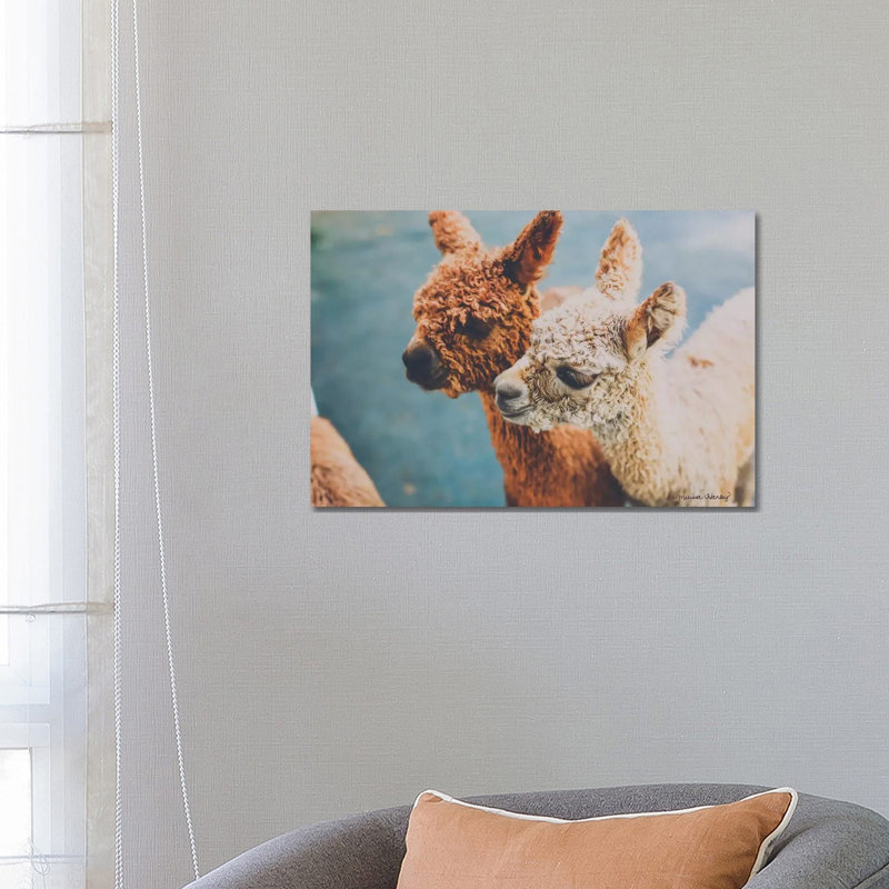 Baby Alpacas by Melissa Hanley - Wrapped Canvas Print, 66.04 cm H x 45.72 cm W x 1.91 cm D
