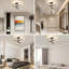  Golden Clover Ceiling Light-1198753504