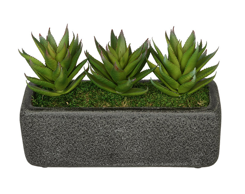 7 " H Faux Succulent Plant in Ceramic Vase, Black