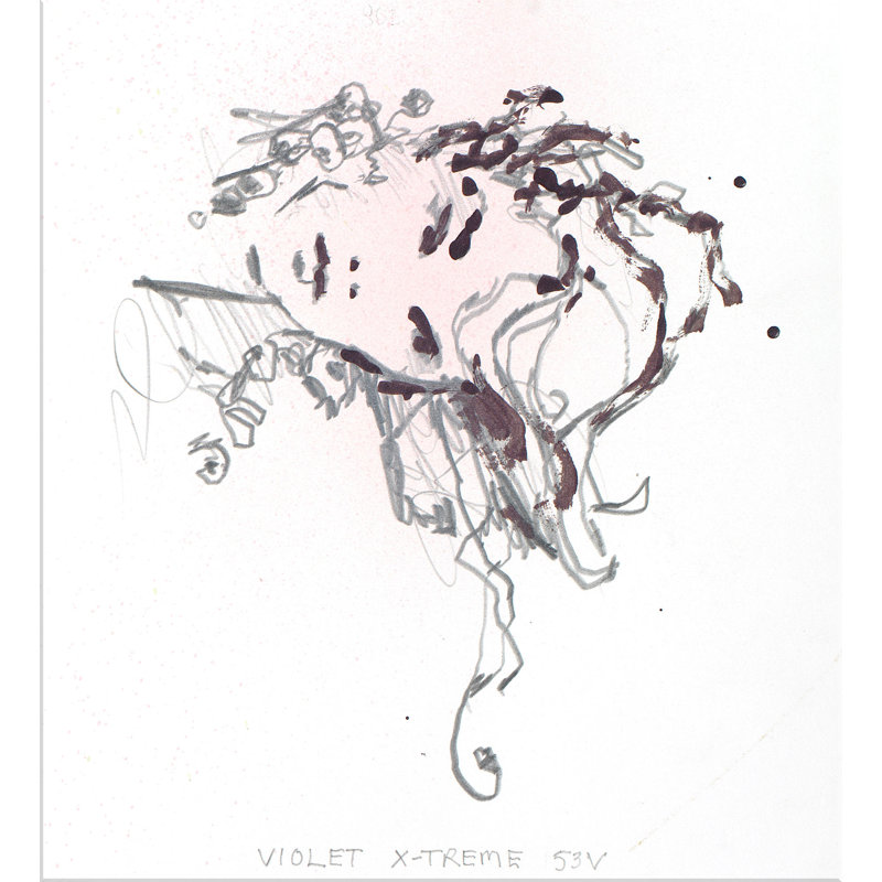 Nail Polish Series: Violet Extreme 53V Print