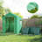 Greenhouse-122411784