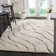 Ashal Animal Print Cream/Gray Area Rug