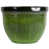 Green Drip