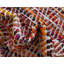 Tapis abstrait en coton fait à la main Tedesco-902270197