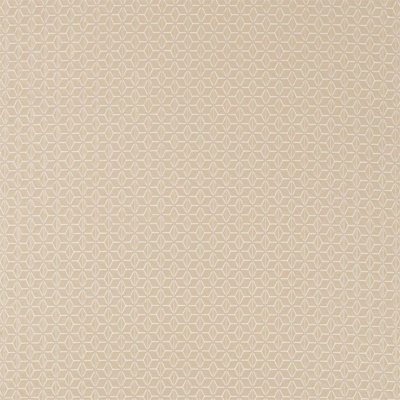 Laceria Fabric