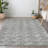  Maliana Area Rug-783341239