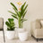Dorlis Handmade Pot Planter-406649357-406649457
