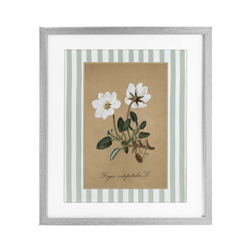 Reproduction sous verre encadrée de fleurs blanches et de rayures vertes, par lettrage et doublure, H 16 po x l 13 po