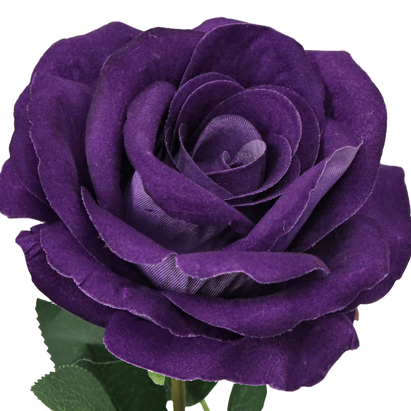 Velours rosier, Mauve royal