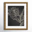 Golden Flower Folklore II by Asia Jensen-59865363-59865362