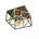 Black/Gold