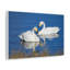 No Frame Print on Canvas