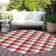  Machine Washable Indoor/Outdoor Chayden ACN1053 Rug