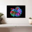 Poisson Betta chromatique-107923668